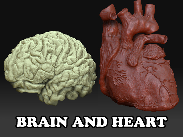 StevenFraser_Illustration