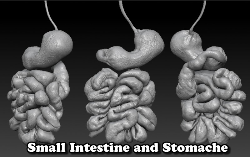 StevenFraser_Illustration