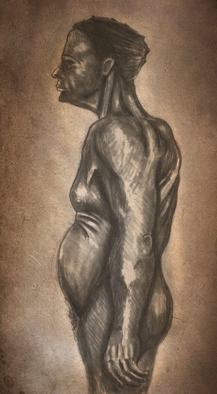 StevenFraser_Illustration