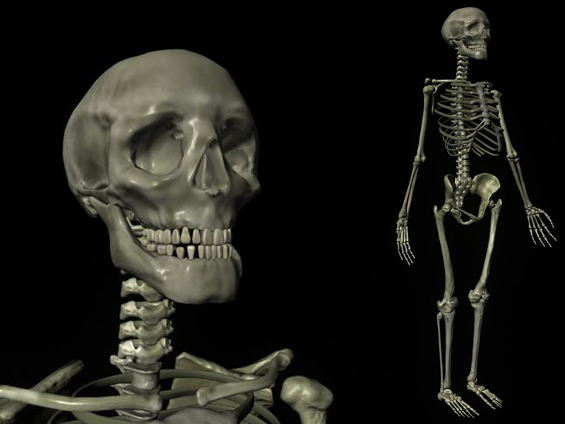 StevenFraser_Illustration