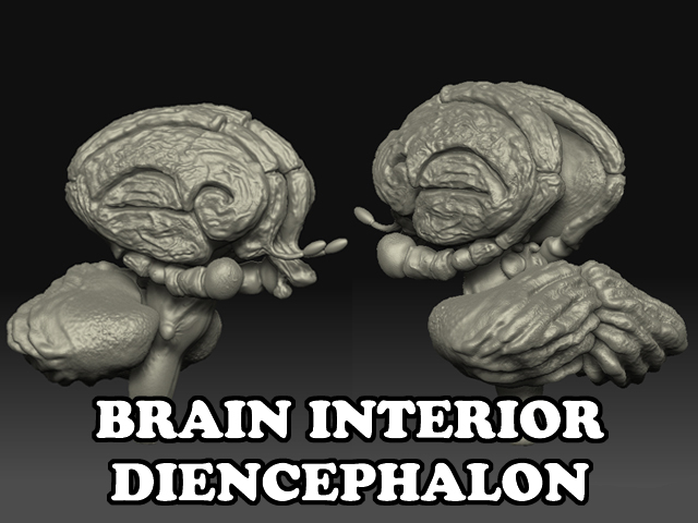 StevenFraser_Illustration