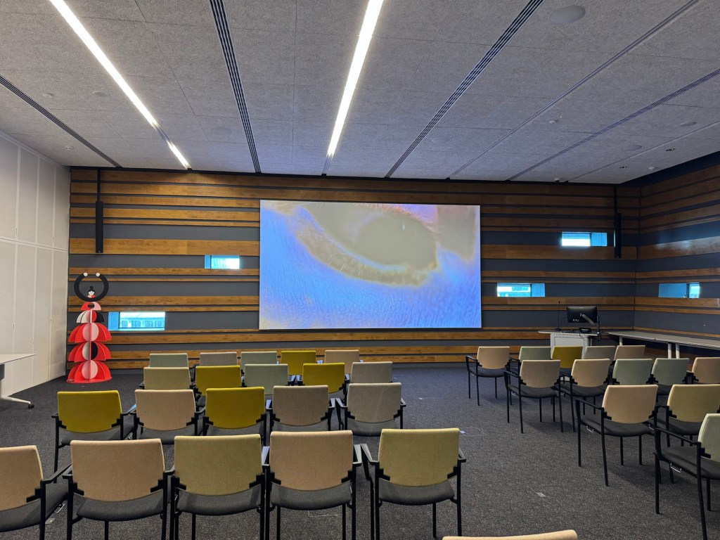 Prosopagnosia at V&A Dundee